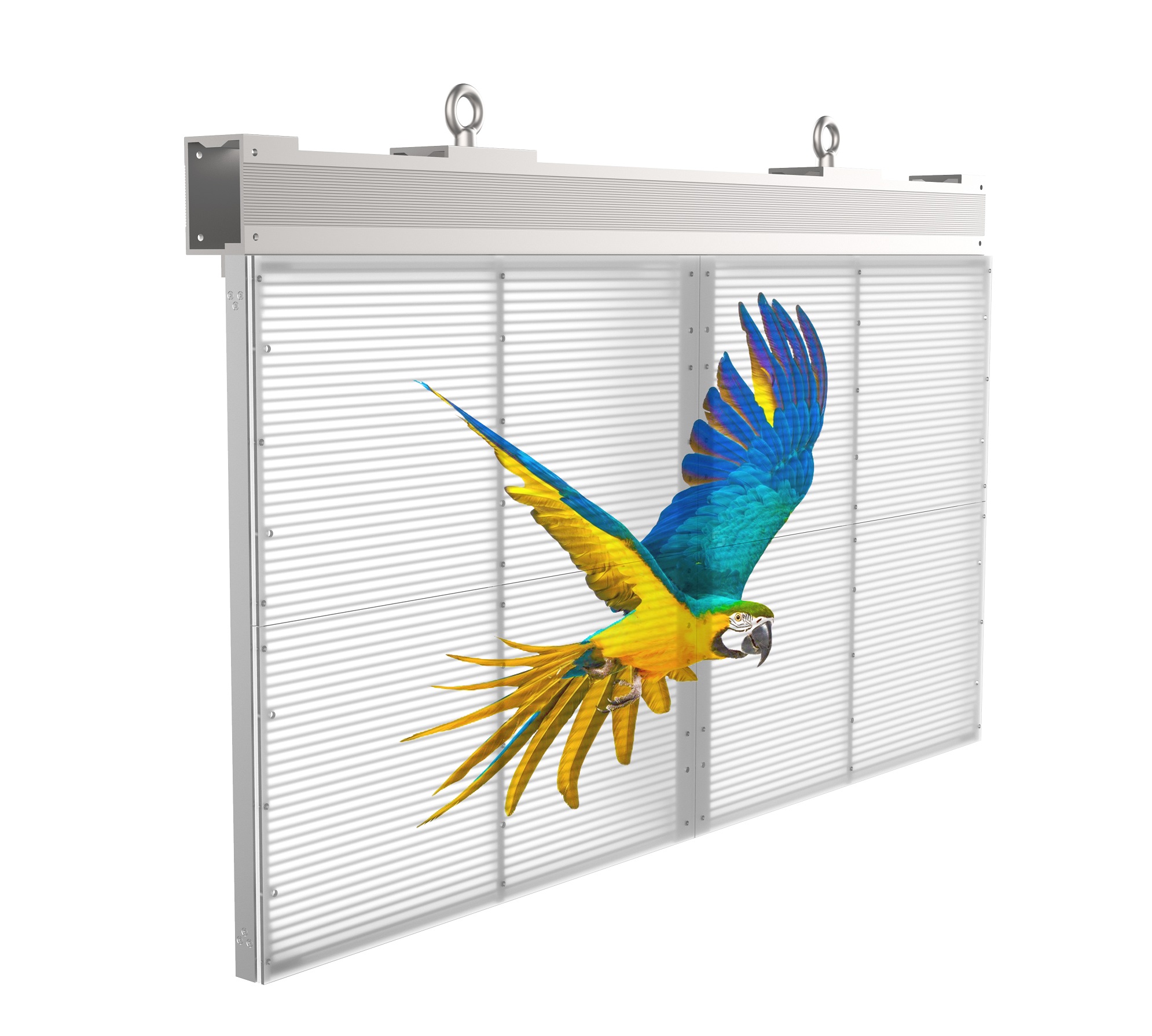 Transparent LED screen with colorful parrot